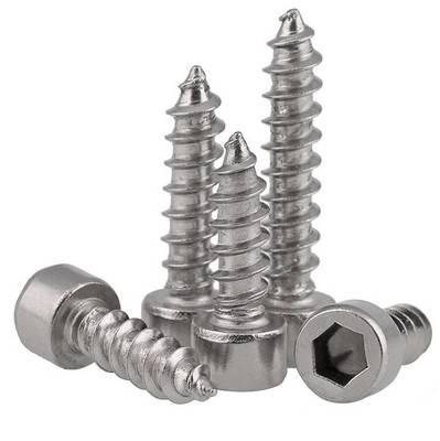 China Round Stainless Steel Carbon Steel Galvanized Hex Socket Screws Tapping Screws for sale