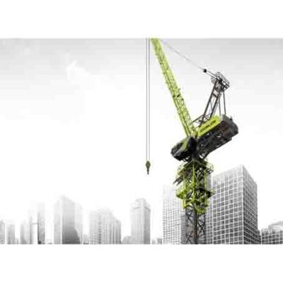 China Tower Crane Lightning Tower Cranes L200-10 lifting machinery for rebar carry for sale