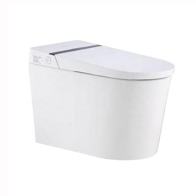 China Modern Design Luxury Floor Standing Smart Toilet Automatic Operation Toilet Plumbing One Piece Ceramic Flush Siphon for sale