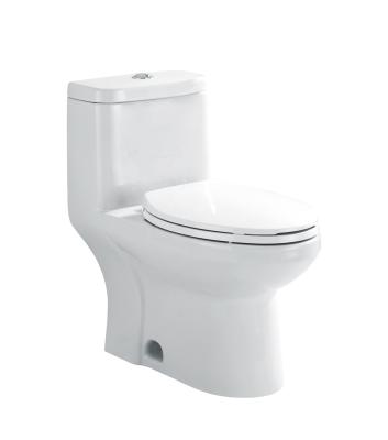 China American custom ceramic eongated siphonic flush one piece toilet bathroom commode chinese manufacturer single flush cUPC for sale