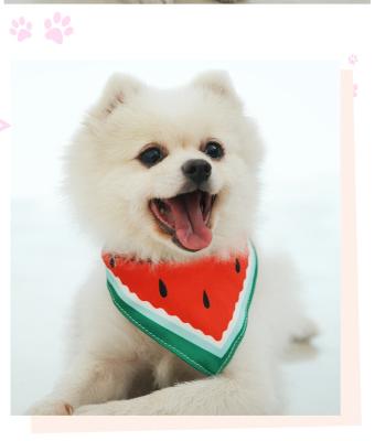 China New Fashion Brand Personality Printing Pet Saliva Creative Towel Dog Stocked Triangular Bandage Cat Dog for sale