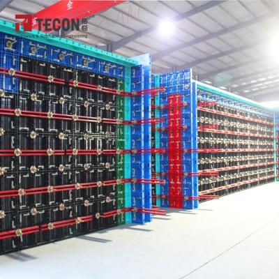 China Universal Application Forming Light Weight And Reusable TECON TP60 Plastic Formwork For Column Wall Slab Concrete for sale