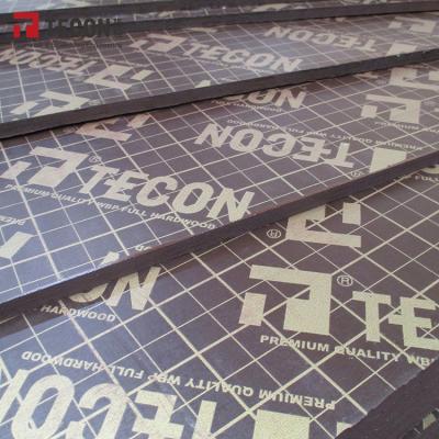 China TECON Modern Hot Sale Film Faced Wood Plywood For Construction Building Materials for sale