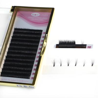 China Natural PBT Material Korean Eyelash Extension Silk Eyelash Extensions Different for sale