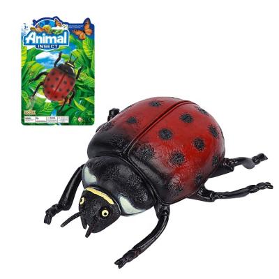 China Study of ladybug natrual insect simulation animal world plastic model toy for sale