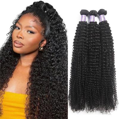 China Kinky Curly Kinky Curly Cuticle Aligned Exclusive Virgin Hair Bundles Southeast Asian Burmese Raw Curly Hair for sale