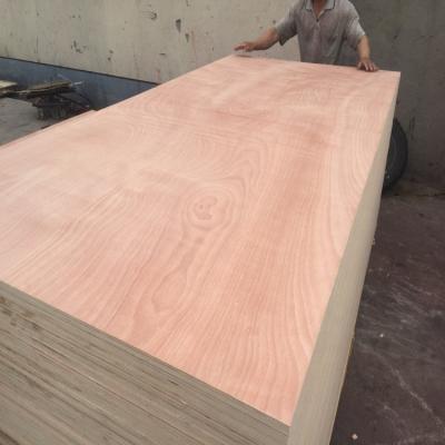 China Contemporary commercial plywood 18mm cdx poplar pressure treated plywood doors hardwood plywood cdx 3/4 4x8 for sale