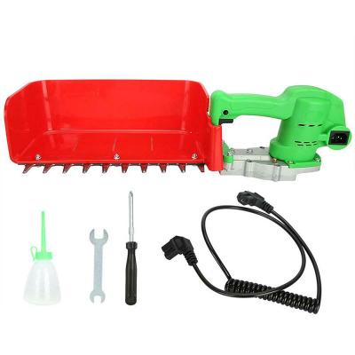 China Efficient Electric Hand Held Tea Leaf Agricultural Machinery Haresters 24v Bruchles Tea Plucker for sale