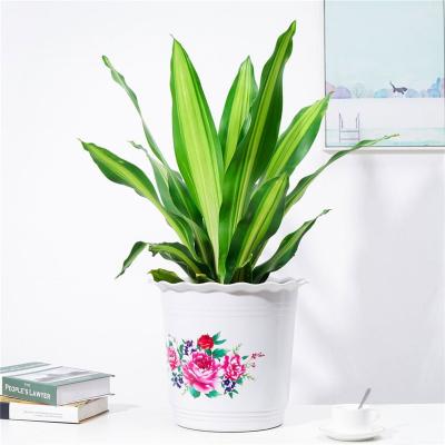 China Spike Custom Design China New Color Clear Grow Pots Plastic Flower Pot for sale