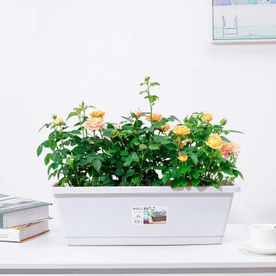 China Factory Transitional Rectangular Square Pot Flower Pots Rectangle Plastic Flower Pots for sale