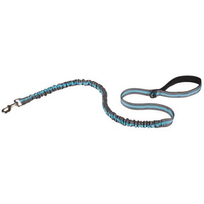 China High Quality Cheap Viable Adjustable Fashion Pet Walking Leash for sale