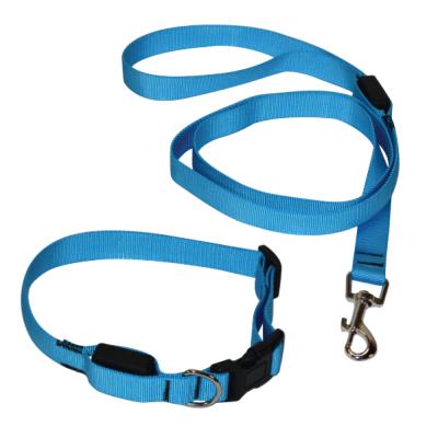 China Durable Classic Blue Outdoor Led Nylon Dog Collar And Leash Set for sale