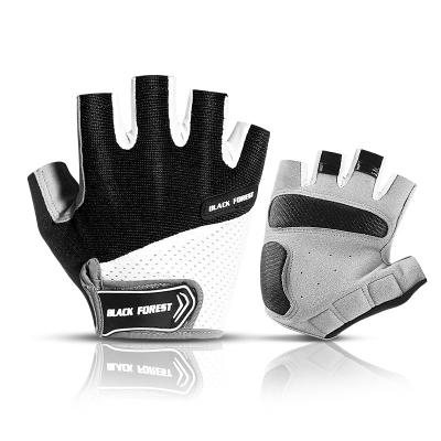 China Outdoor Sports Breathable Non-slip Motorcycle Racing Gloves Gym Gloves Baseball Gloves For Riding Bicycle for sale