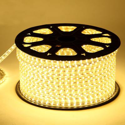 China Residential DIY 5M Flexible Waterproof White SMD 2835 5050pcs Strip Light Bar Lamp Ribbon 12V 24V Led Strip Light for sale