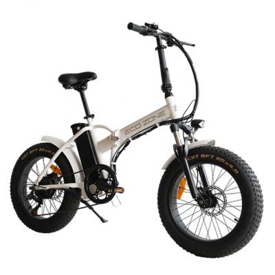 China Standard High Quality 20 Inch Fat Step Low Tire Electric Folding Bike Made in China for sale