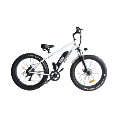 China China Aluminum Alloy Perfect Shape Electric Bicycle Mountain Bike Hot Sale for sale