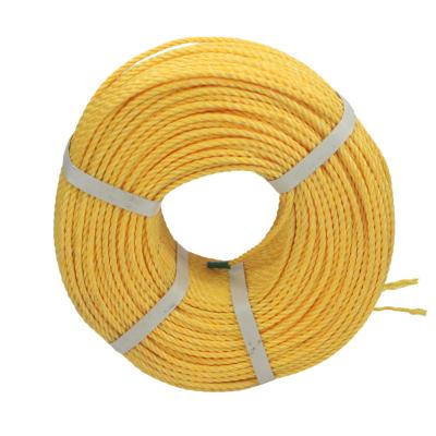 China Marine Various Color Fishing Pe 3 Strand 2mm-80mm Twisted Twine Pull Ropes Bundling Rope for sale