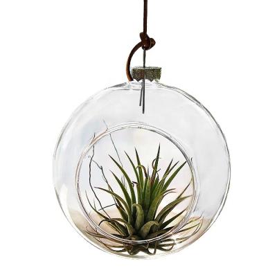 China Europe Clear Air Plant Mini Greenhouse Glass Hanging Ball For Home Decor Garden DIY Indoor Outdoor Gifts for sale