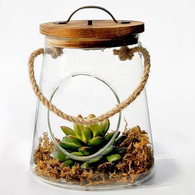 China European Mini Greenhouse Lamp Light Glass Jar for Party Garden Home Decorative Succulent Plant with LED Light for sale