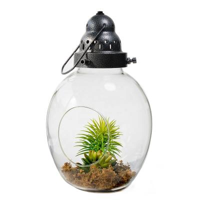 China European Wholesale Geometric Mini Glass Greenhouse for Tabletop Succulent Plant with LED Light and Handle for Home Decoration for sale