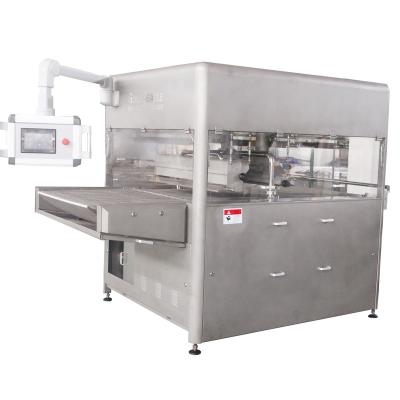 China Snack Factory SJP600 PLC Chocolate Enrober Sugar Coating Machine Ice Cream Enrobing Machine for sale