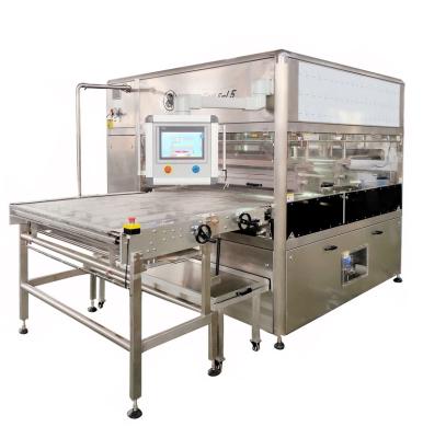 China Easy cleaning snack factory chocolate enrober/stainless steel chocolate enrobing machine for sale