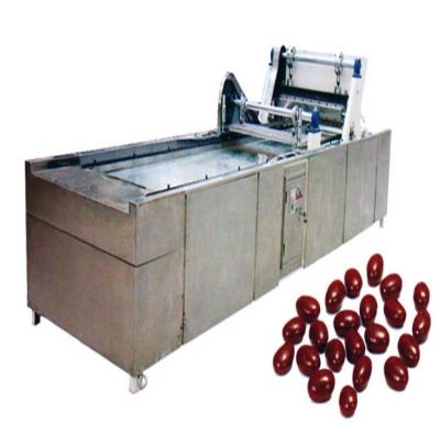 China Chocolate LMT Series Chocolate mylikes Core Forming Machine / Snack Machinery for sale