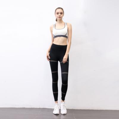 China High Quality Cutout Gym Antibacterial Mesh Yoga Pants For Women On Sale for sale