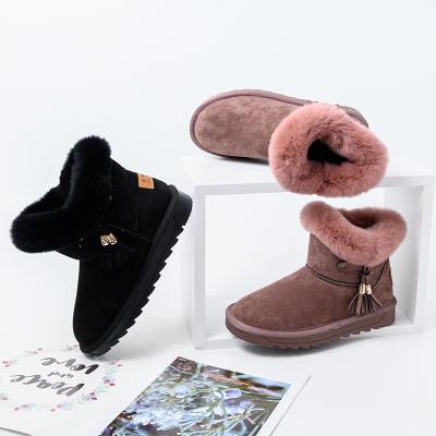 China BAIRUILUN Anti-slippery Women's Snow Boots Cotton Leather Women's Shoes for sale