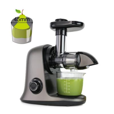 China Elegant and compact design Factory direct sales of high-value household durable blender high juice low noise slow juicer for sale