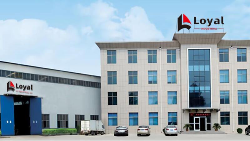 Verified China supplier - Shandong Loyal Industrial Co., Ltd.