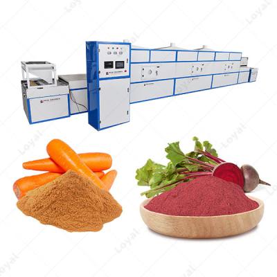 China High Automation Industry Continuous Dehydrated Vegetables Powder Microwave Sterilizing Machine for sale