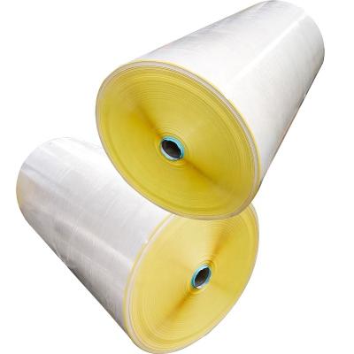 China Heat Resistant Direct Thermal Label Elephant Roll Coated Self Adhesive Sticker Raw Materials Paper Blank for sale