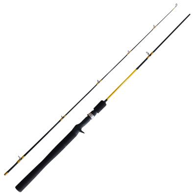 China Carbon 2 Section Fishing Tackle Europe Trout Fishing Rods for sale