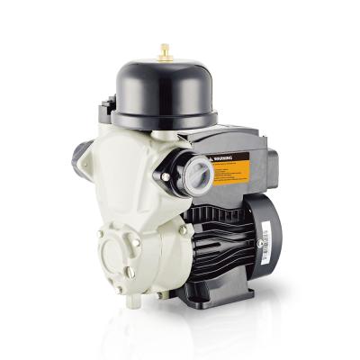 China Quiet Electric Pressure Boosting Automatic Hot Water Pump for sale