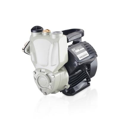 China Quiet 300 Watt 50 Meter Head 0.3 1.5hp Water Pump Specifications for sale