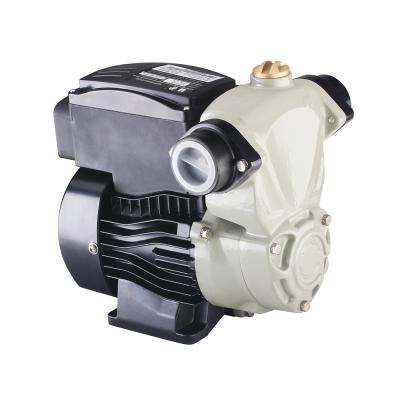 China AC 220v Water Pump List Electric Motor Booster Quiet Clean Water Pumps for sale