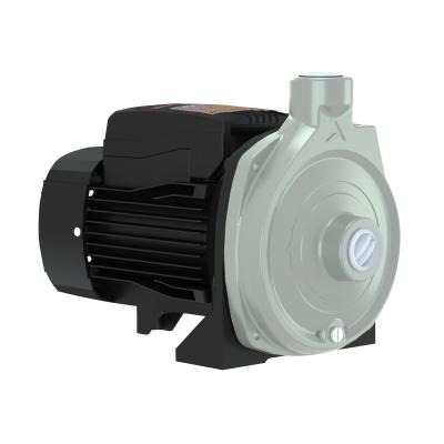 China Automotive Industry Electric Centrifugal Water Suction Pump In Swimming Pool Circulation for sale