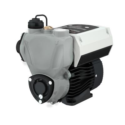 China Domestic commercial buildings water pressure booster pumps have inverter for hot and cold water for sale