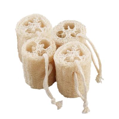 China Loofah Exfoliate and Cleanse Skin for Body Shower Exfoliator and Loofah Helps to Support Acne en venta