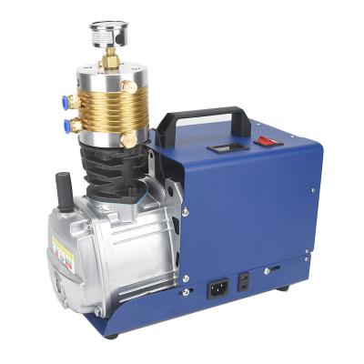 China China 30 MPA 4500 PSI PCP Lubricated High Pressure Electric Air Compressor Pump Senapan Angin For Air Gun Rifle for sale