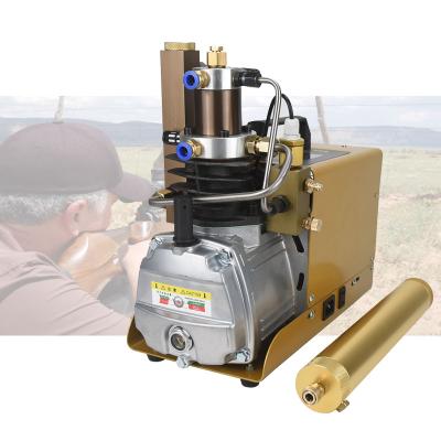 China 1pcs MOQ 30MPa 4500psi Pcp Electric Lubricated Air Compressor Pump for pcp senapan air gun scuba tank for sale