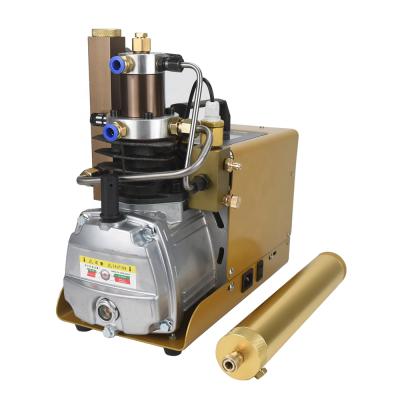 China 4500 Mpa 300 Psi 30 BAR Rifle PCP Paintball Air Compressor Machining High Pressure Electric Pump for sale