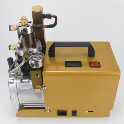 China 4500 MPA 300 PSI 30 BAR 110V-220V PCP air compressor pcp air gun lubricated hot pump for Rifle Paintball for sale