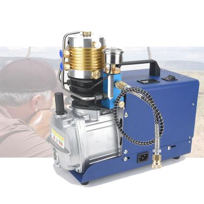 China China 1.5kw 110V/220V 4500psi Lubricated High Pressure Compressor For Pcp Air Compressor Paintball for sale