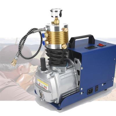 China Wholesale 4500Psi 300Bar 30Mpa Machining Electric PCP High Pressure Pump For Rifle Air Gun Scuba Inflator Tank for sale