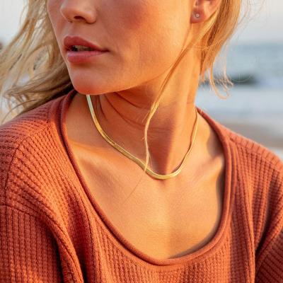 China Hot Selling Environmentally Friendly Minimalist Hip Hop Women Statement 14k Gold Plated Jewelry Stainless Steel Snake Choker Necklace Flat Chain for sale