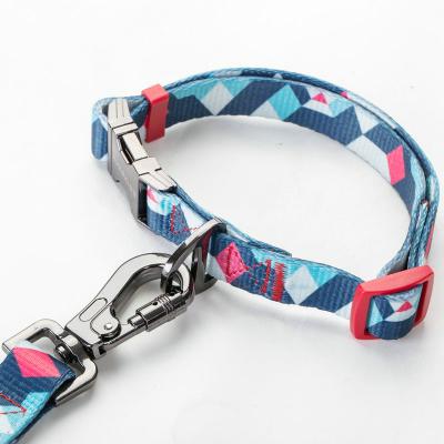 China Logo Printing Plain Nylon Pet Custom Padded Cat Dog Collar with Leash Set for sale