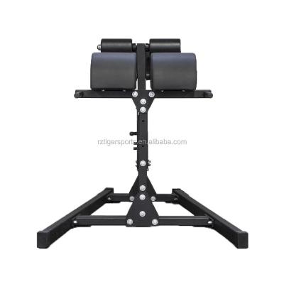 China Crossfit GHD Adjustable Glute Ham Gym Power Developer for sale