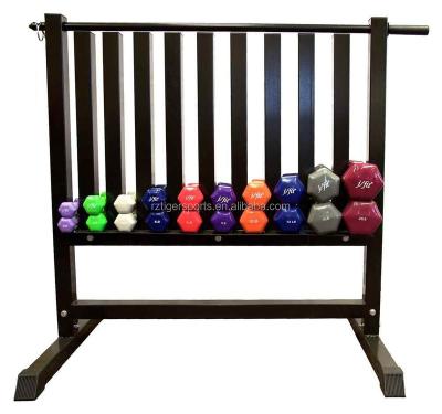 China Custom Barbell Fixed Storage Vinyl Neoprene Dumbbell Storage Rack for Gym or Club for sale